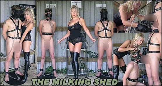 hThe_Milking_Shed_blur